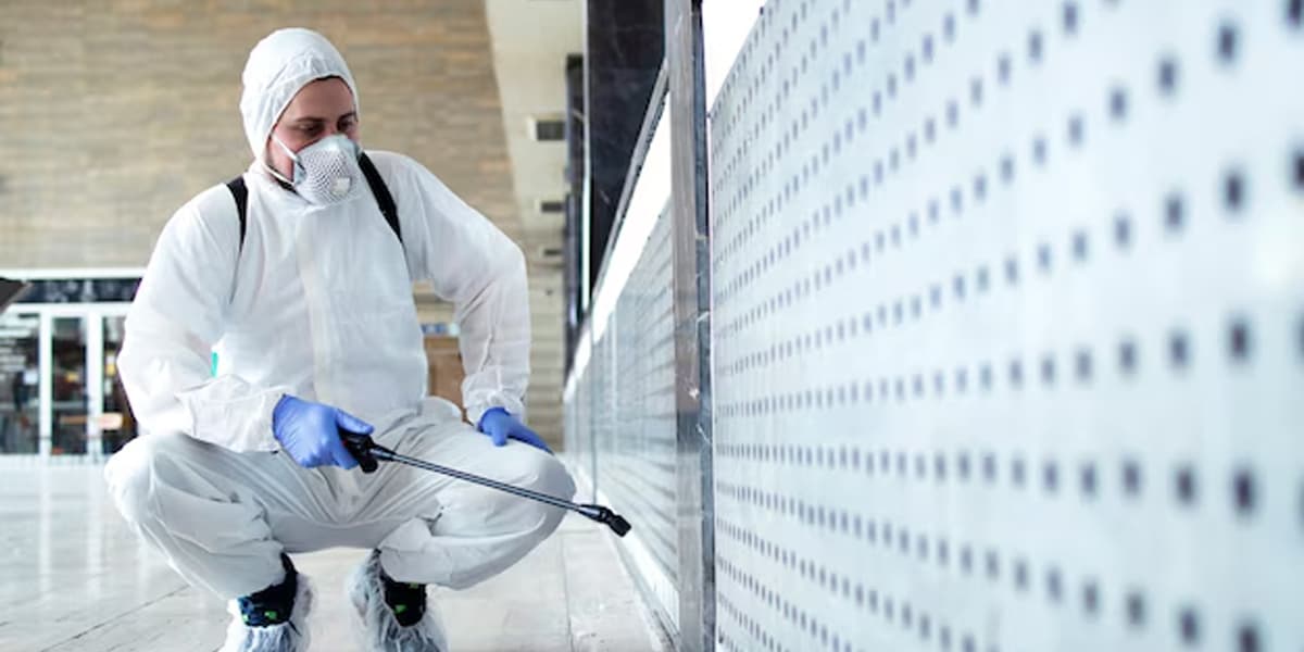 Mold Remediation Colorado