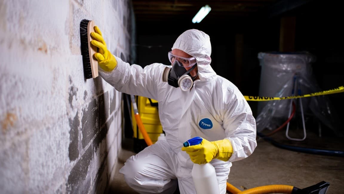 Mold Remediation