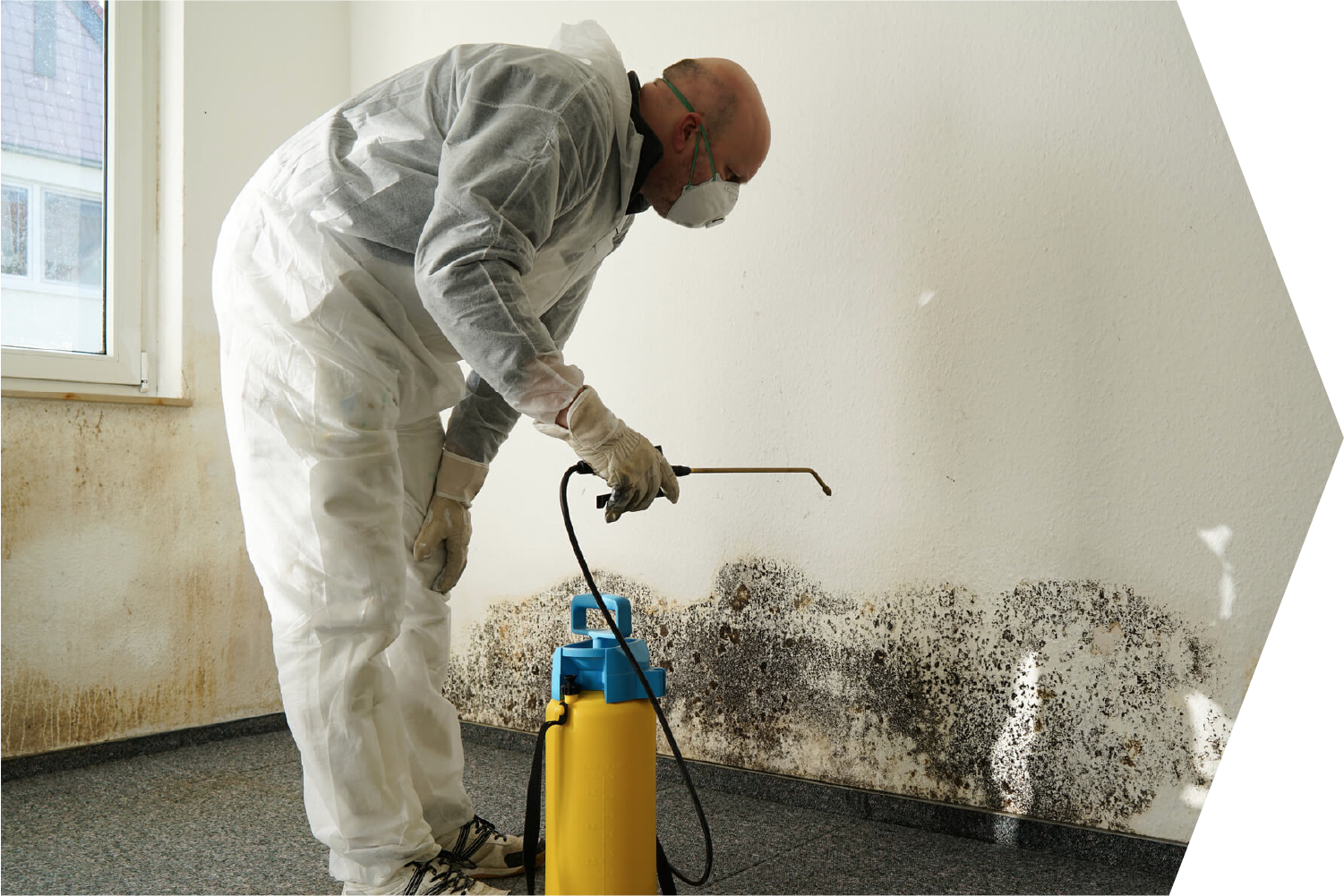 Emergency Mold Removal Services in Colorado
