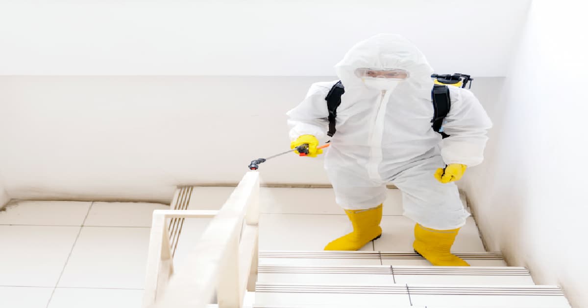 Mold-Remediation